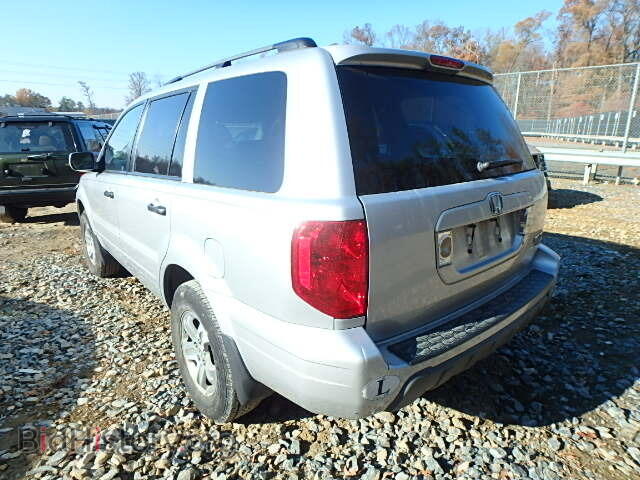 2005 HONDA PILOT - VIN: 5FNYF18545B008702 - Фото 3