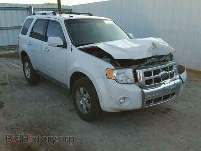 Photo 1FMCU0E74BKA96855 - FORD ESCAPE 2011