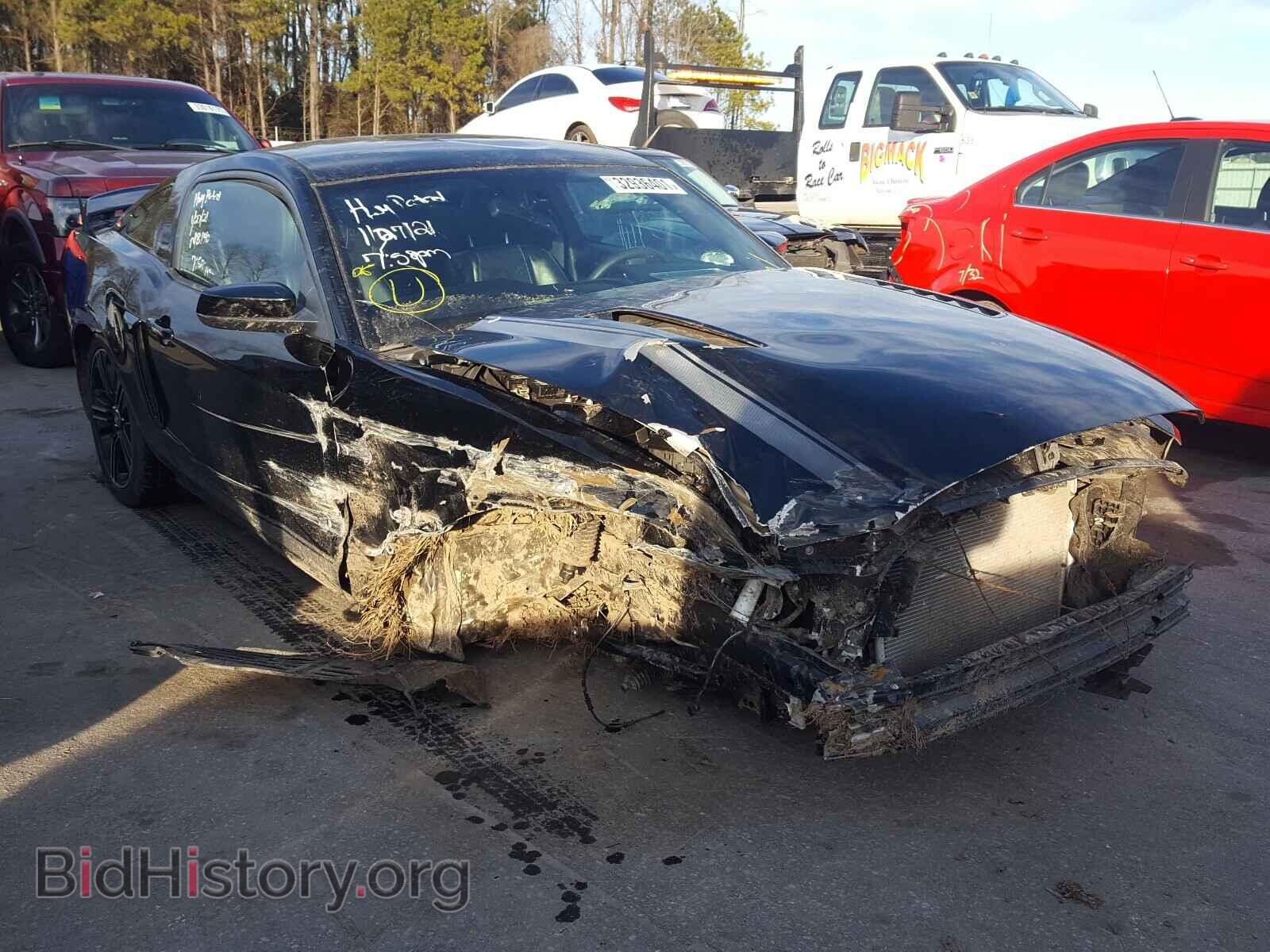 Фотография 1ZVBP8CF2D5213749 - FORD MUSTANG 2013