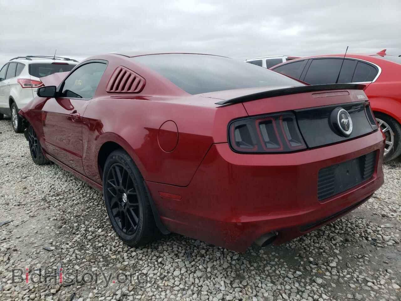 2014 FORD MUSTANG - VIN: 1ZVBP8AM4E5299181 - Фото 3
