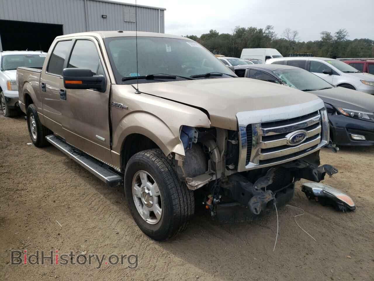 Photo 1FTFW1CT4CFA02565 - FORD F-150 2012