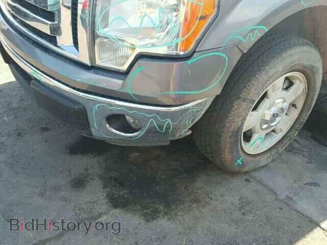 2014 FORD F150 - VIN: 1FTFW1CF5EKF47713 - Фото 10