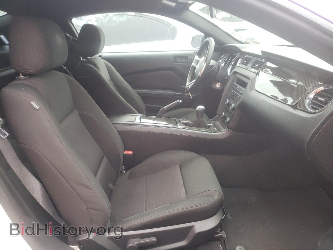 2013 FORD MUSTANG - VIN: 1ZVBP8CF2D5253233 - Фото 5