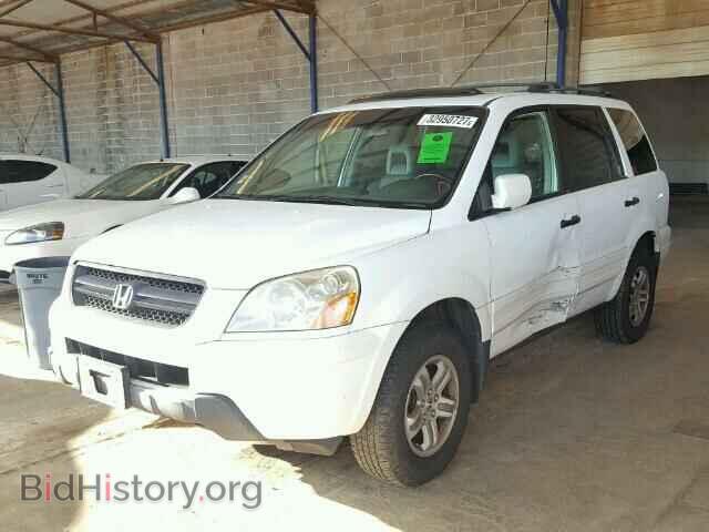 2005 HONDA PILOT - VIN: 5FNYF18515B052401 - Фото 2