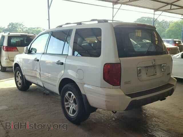 2005 HONDA PILOT - VIN: 5FNYF18515B052401 - Фото 3