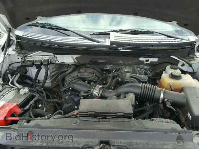 2013 FORD F150 - VIN: 1FTMF1CM2DKD59591 - Фото 7