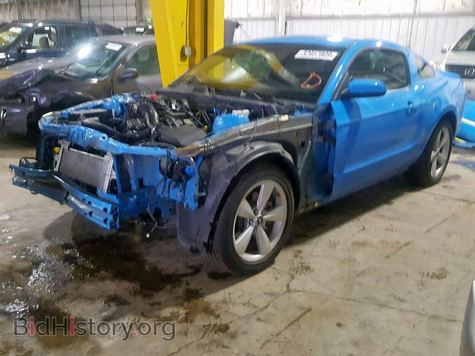 2013 FORD MUSTANG - VIN: 1ZVBP8AM7D5217281 - Фото 2