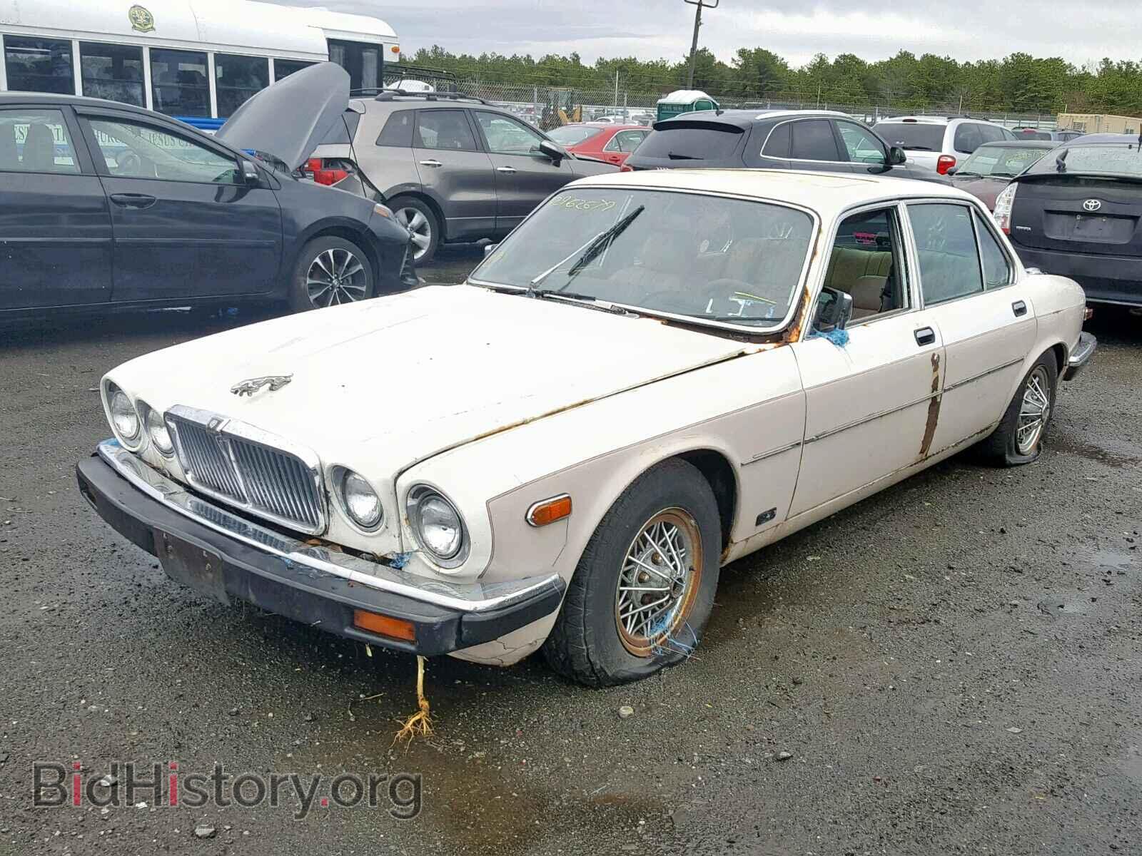 1981 JAGUAR XJ6 - VIN: SAJAV1345BC325885 - Фото 2