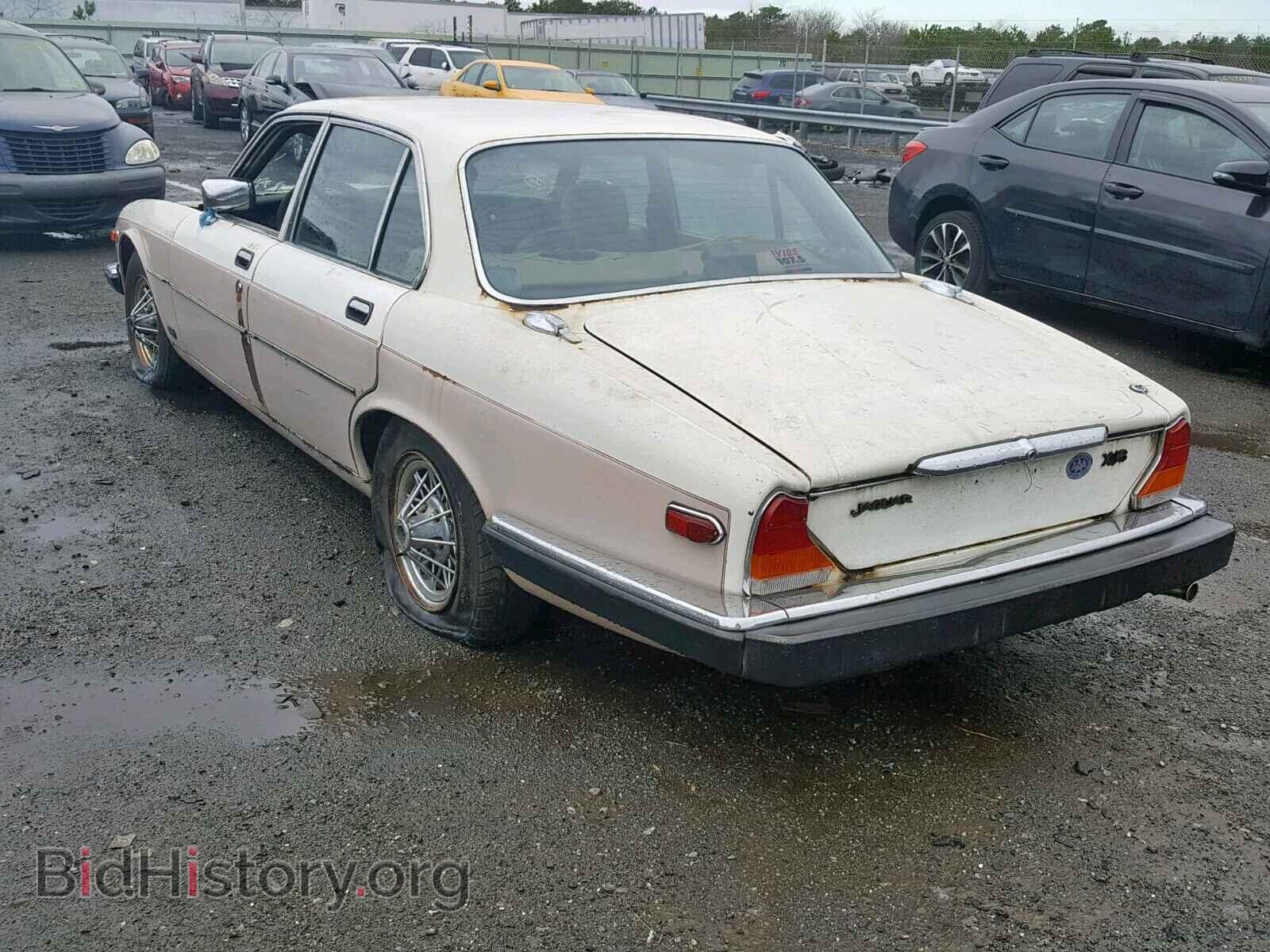 1981 JAGUAR XJ6 - VIN: SAJAV1345BC325885 - Фото 3