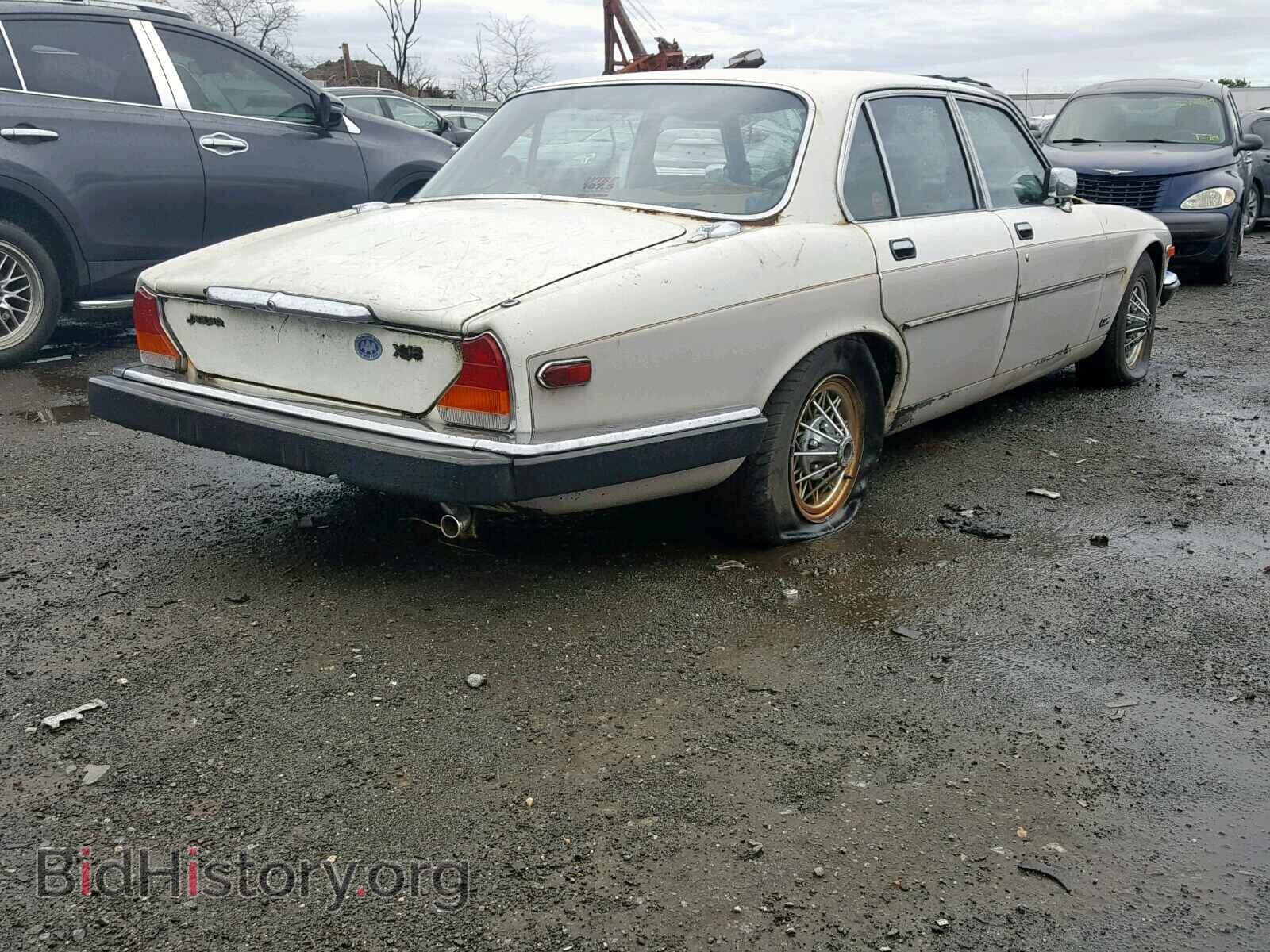 1981 JAGUAR XJ6 - VIN: SAJAV1345BC325885 - Фото 4