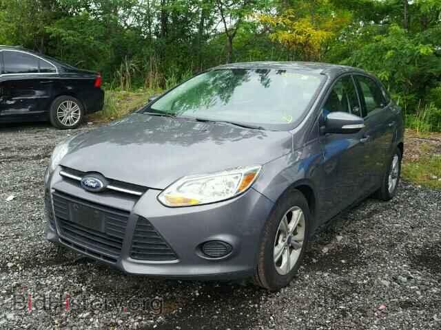 2014 FORD FOCUS - VIN: 1FADP3F26EL445863 - Photo 2