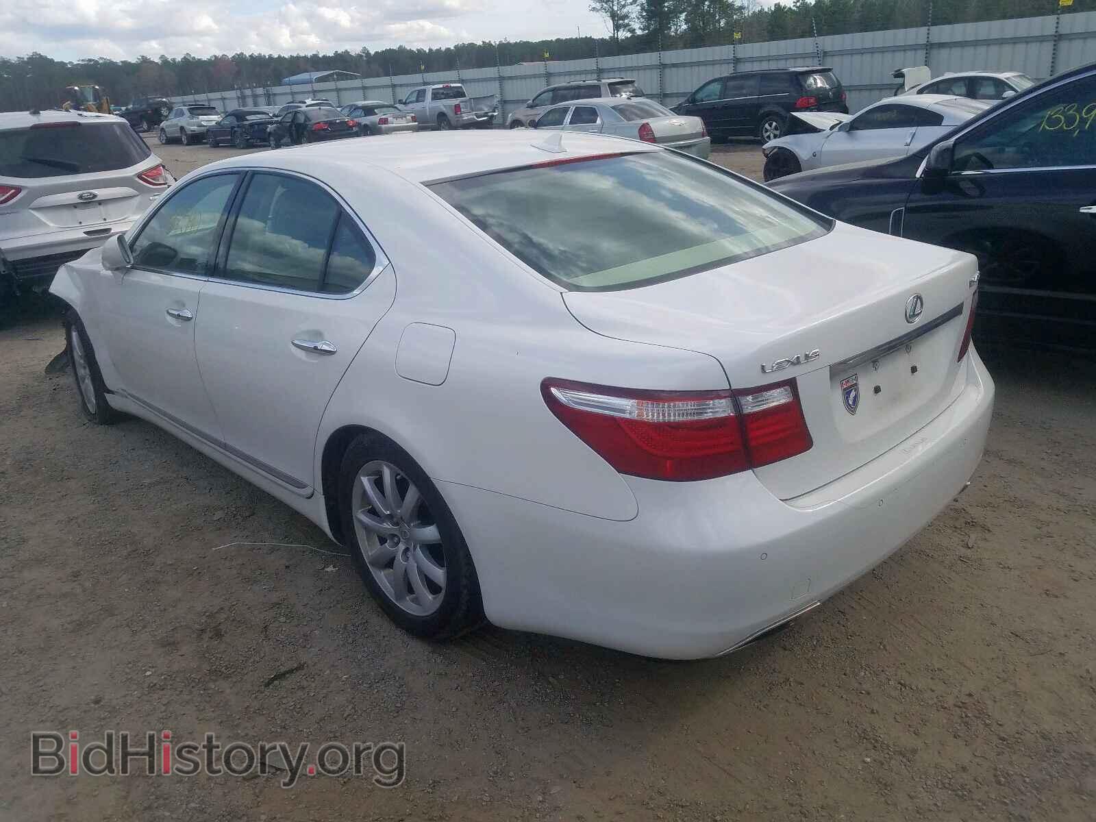 2009 LEXUS LS460 - VIN: JTHBL46F095085679 - Фото 3