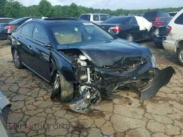 Фотография KMHEC4A42CA041598 - HYUNDAI SONATA 2012