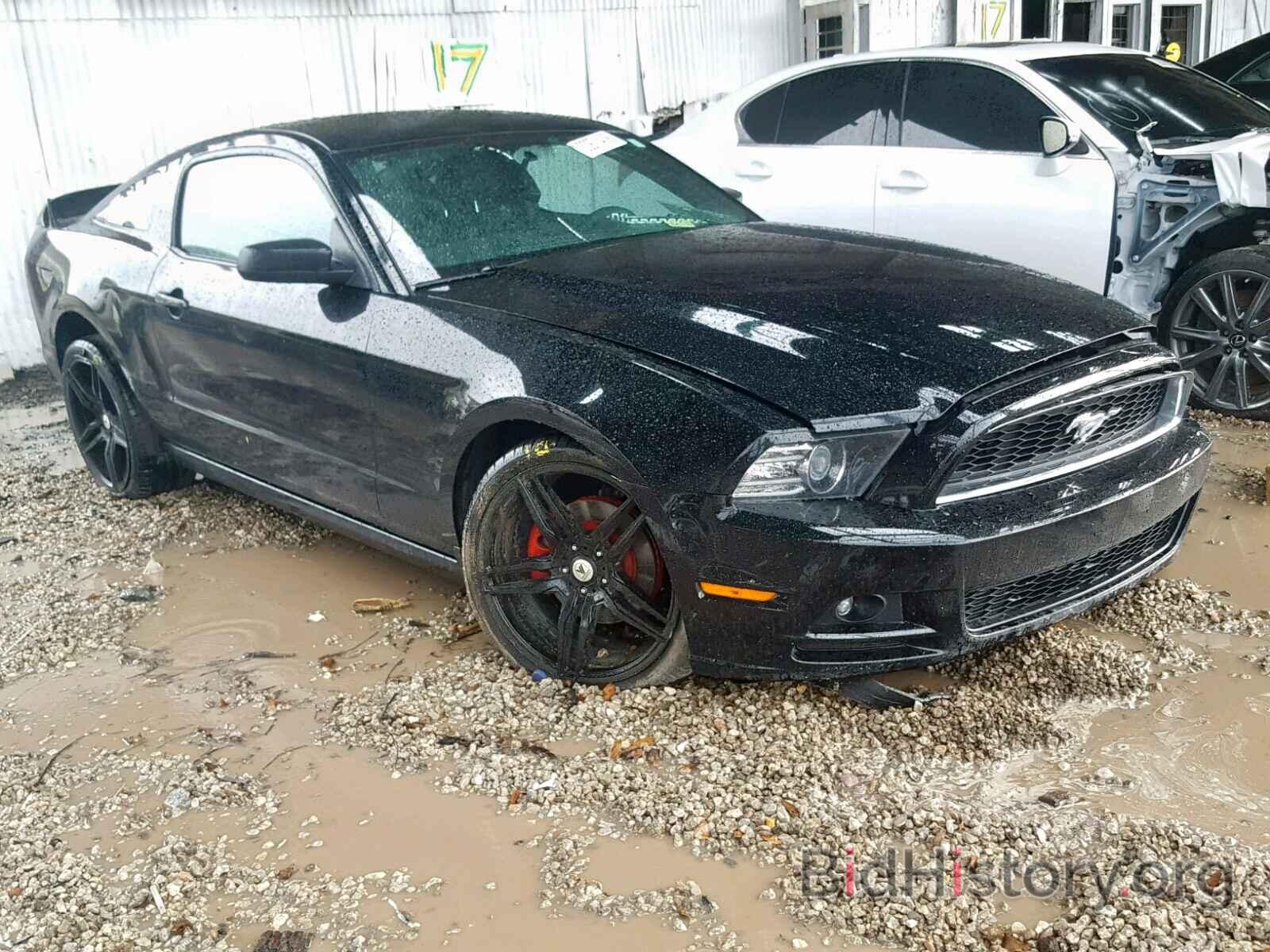 Photo 1ZVBP8AM4E5254967 - FORD MUSTANG 2014