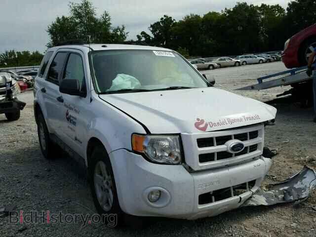 Фотография 1FMCU59349KC96813 - FORD ESCAPE 2009