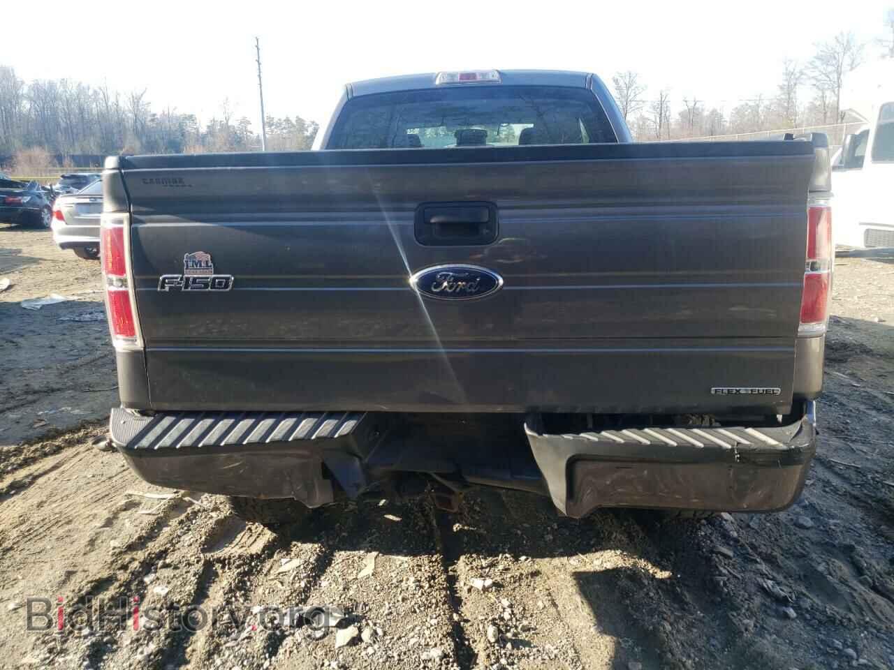 2013 FORD F-150 - VIN: 1FTFX1EF0DFC50141 - Фото 9