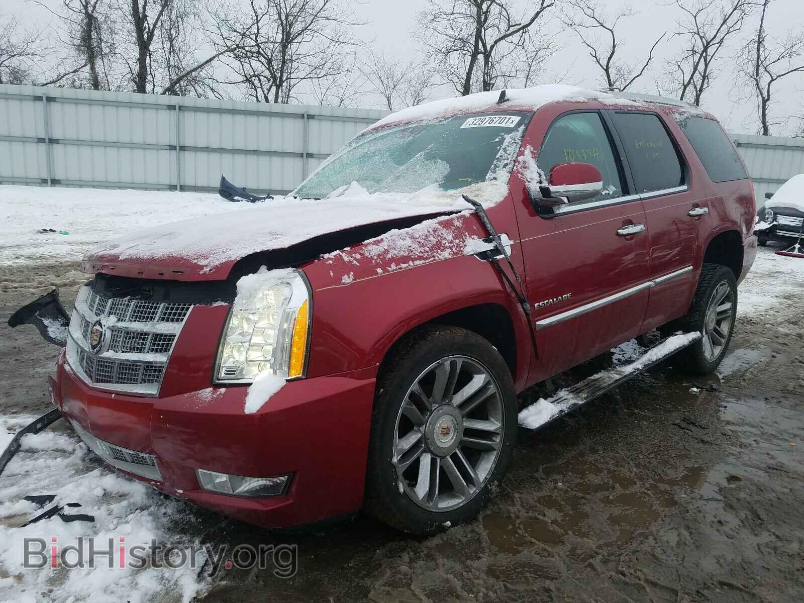 2013 CADILLAC ESCALADE - VIN: 1GYS4DEF0DR263697 - Фото 2