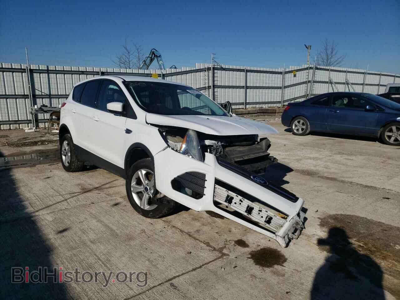 Photo 1FMCU0GX3EUD51775 - FORD ESCAPE 2014
