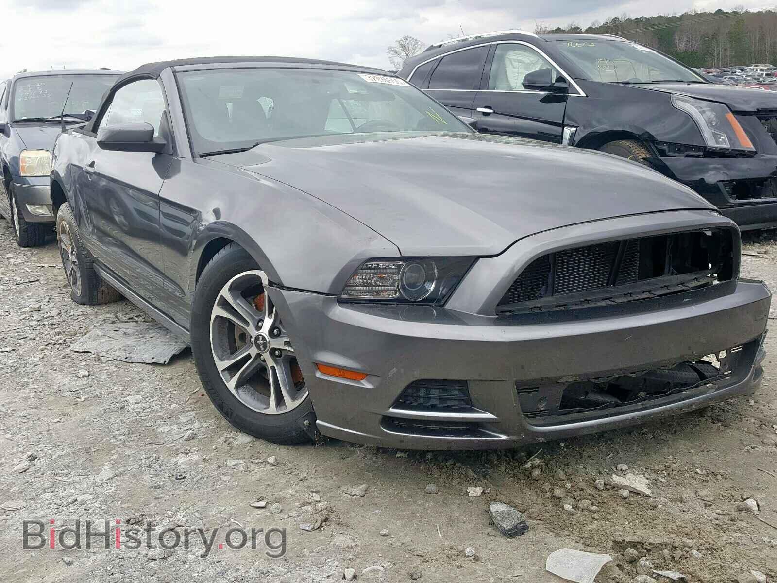 Photo 1ZVBP8EM2E5305442 - FORD MUSTANG 2014