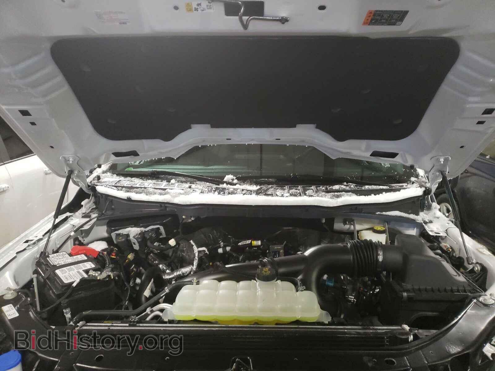 2021 FORD F150 - VIN: 1FTEW1EP7MFA23004 - Фото 7