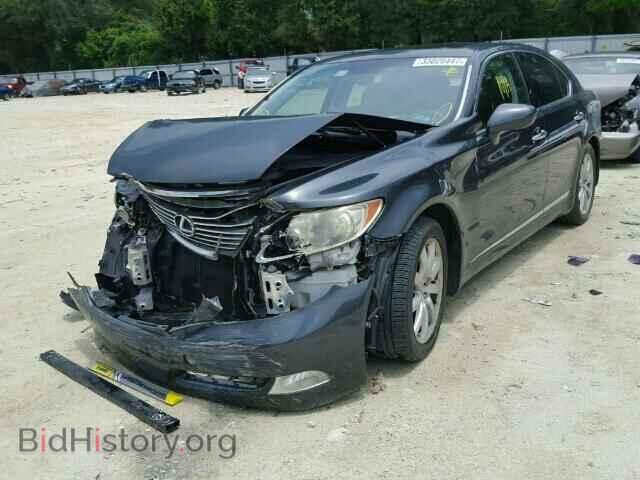 2007 LEXUS LS460 - VIN: JTHBL46F975031004 - Фото 2