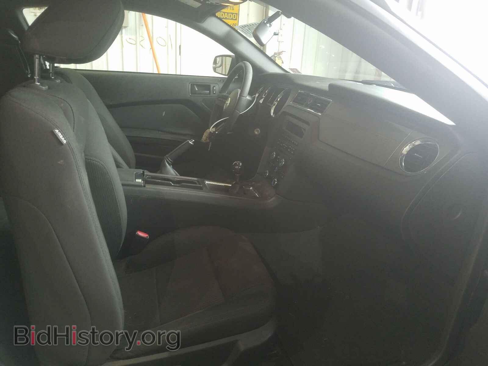 2011 FORD MUSTANG - VIN: 1ZVBP8AM3B5151762 - Фото 5