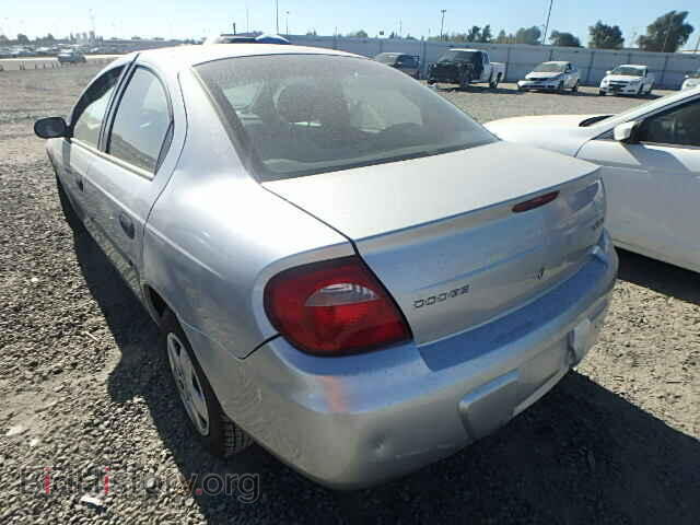 2004 DODGE NEON - VIN: 1B3ES26CX4D558533 - Фото 3