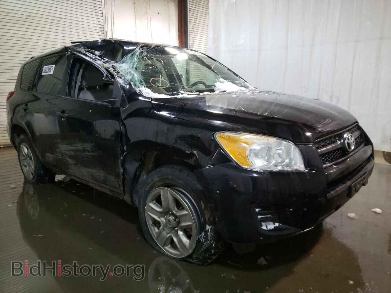 Фотография 2T3BF4DV9CW256514 - TOYOTA RAV4 2012