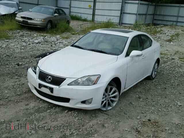 2010 LEXUS IS250 - VIN: JTHCF5C29A2033833 - Фото 2
