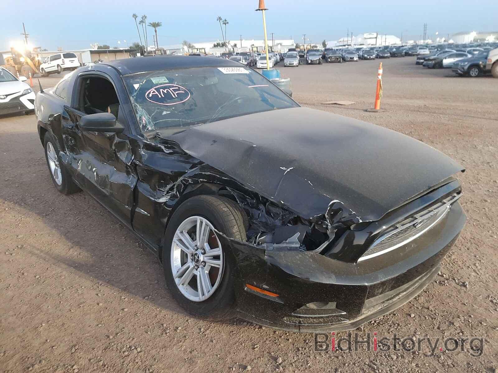 Photo 1ZVBP8AM8E5311459 - FORD MUSTANG 2014