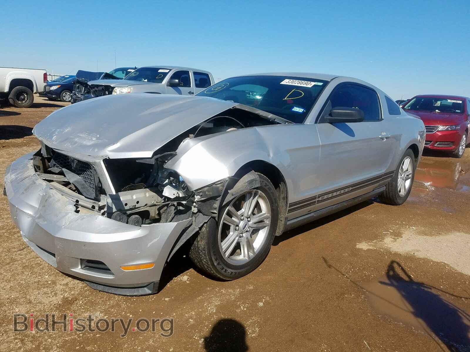 2010 FORD MUSTANG - VIN: 1ZVBP8AN0A5125577 - Фото 2