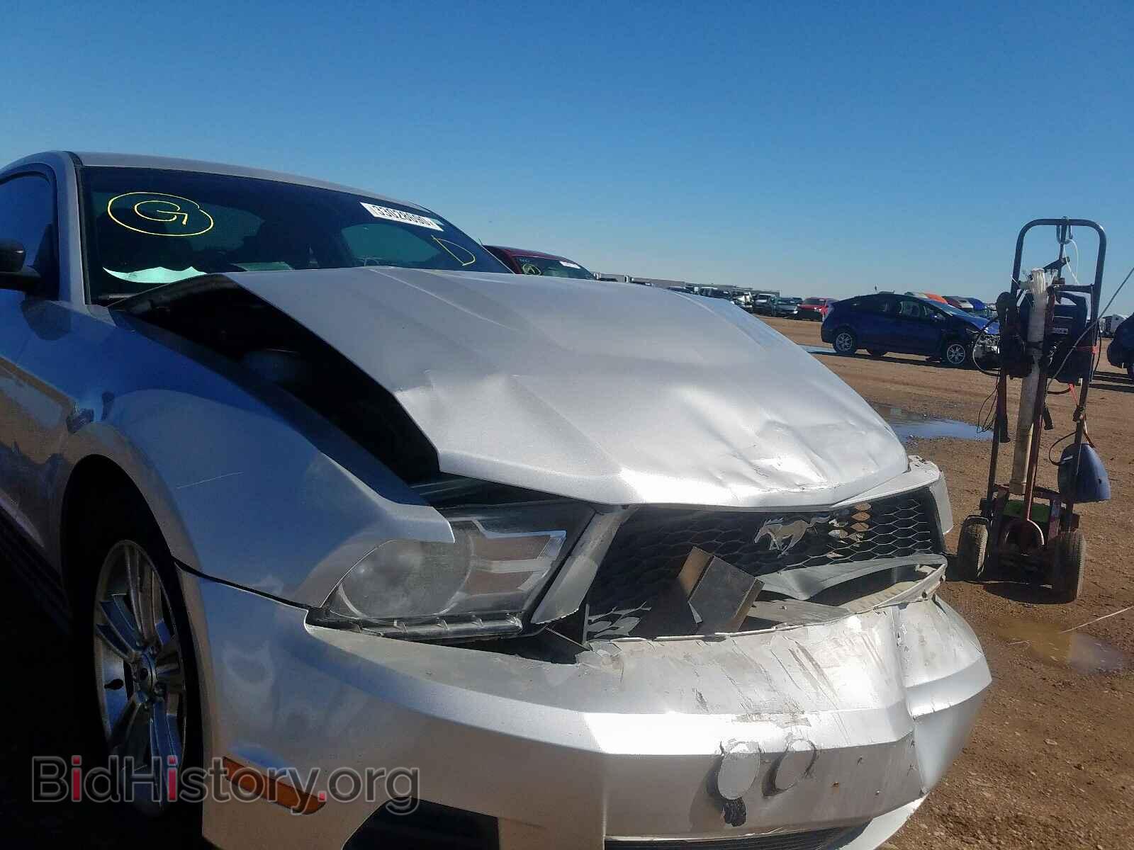 2010 FORD MUSTANG - VIN: 1ZVBP8AN0A5125577 - Фото 9