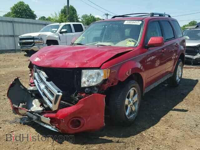 2011 FORD ESCAPE - VIN: 1FMCU9EG5BKB01419 - Фото 2