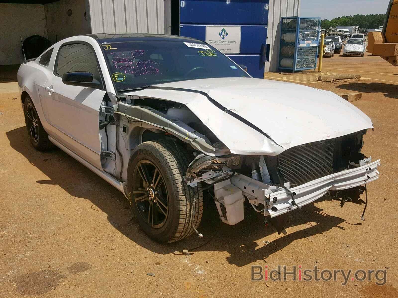 Photo 1ZVBP8AM2E5276756 - FORD MUSTANG 2014