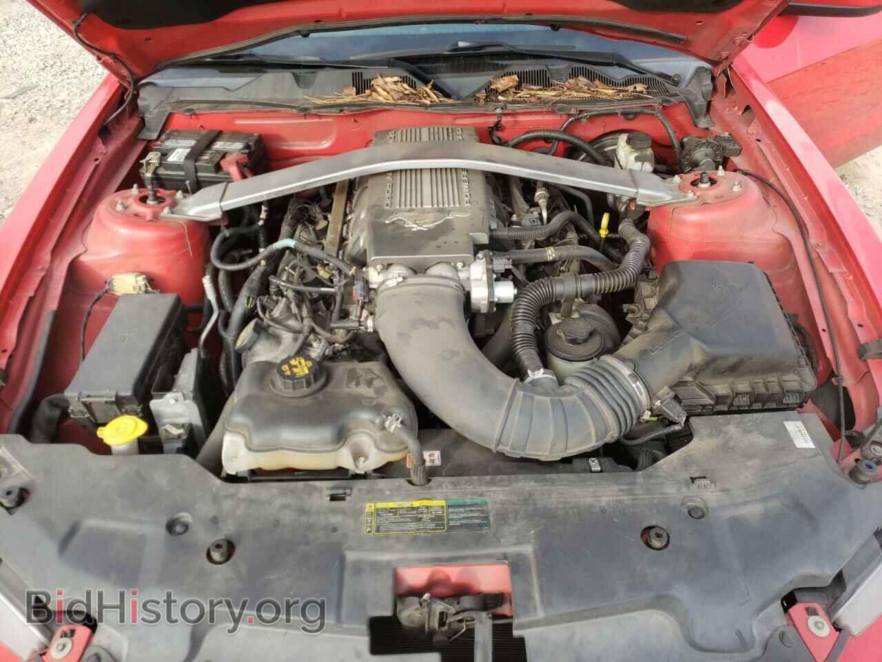 2010 FORD MUSTANG - VIN: 1ZVBP8CH4A5146567 - Фото 7