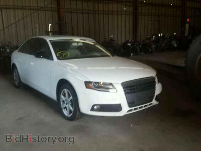 Фотография WAULF78K19A139570 - AUDI A4 2009