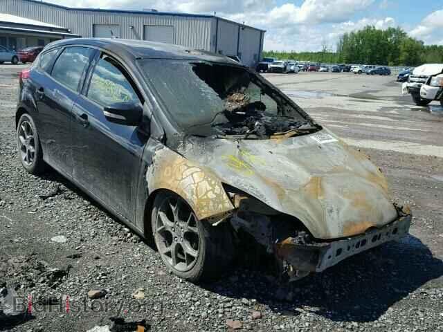 Photo 1FADP3K28DL303471 - FORD FOCUS 2013