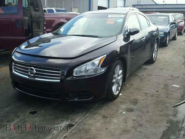 2010 NISSAN MAXIMA - VIN: 1N4AA5AP6AC830630 - Фото 2