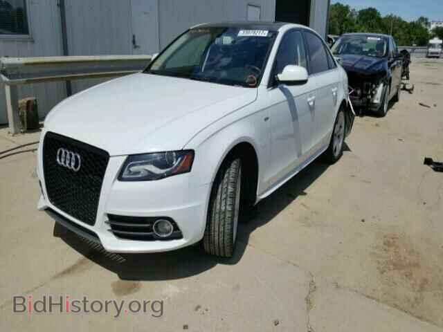 2012 AUDI A4 - VIN: WAUFFAFL7CN012389 - Фото 2