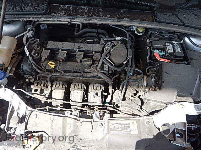 2013 FORD FOCUS - VIN: 1FADP3E23DL243661 - Фото 7