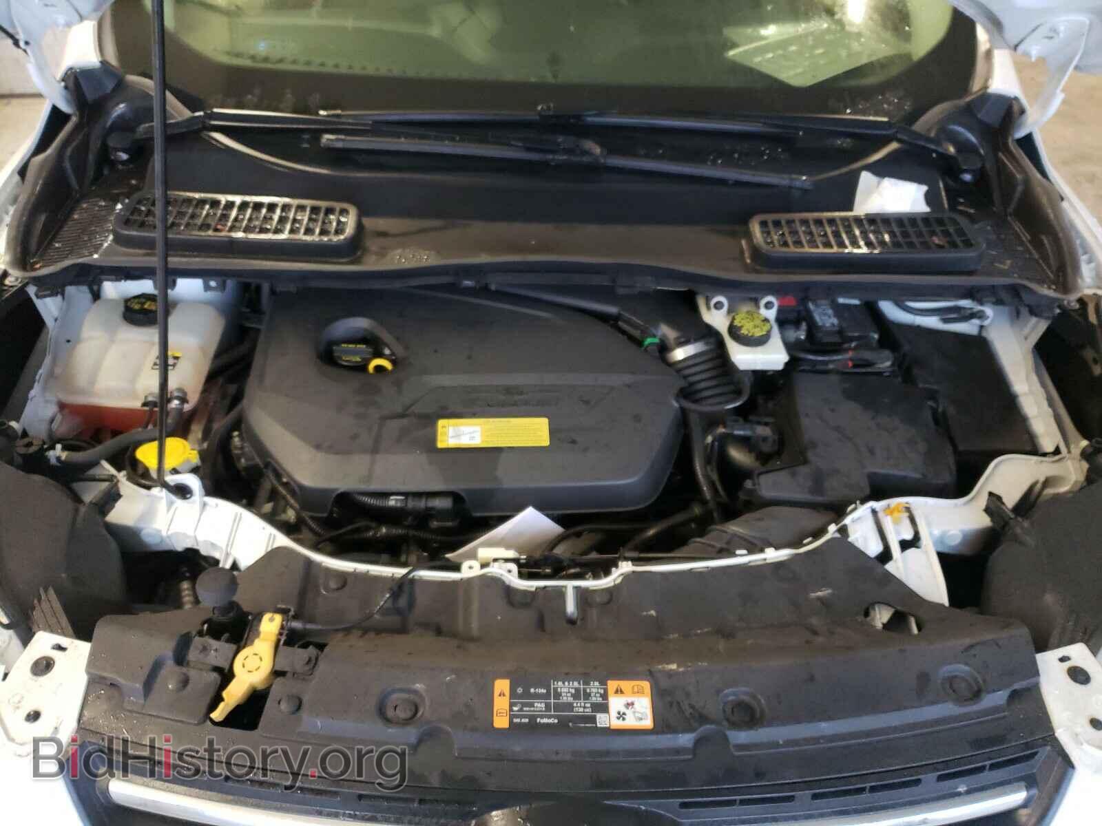2013 FORD ESCAPE - VIN: 1FMCU0GX8DUA74037 - Фото 7