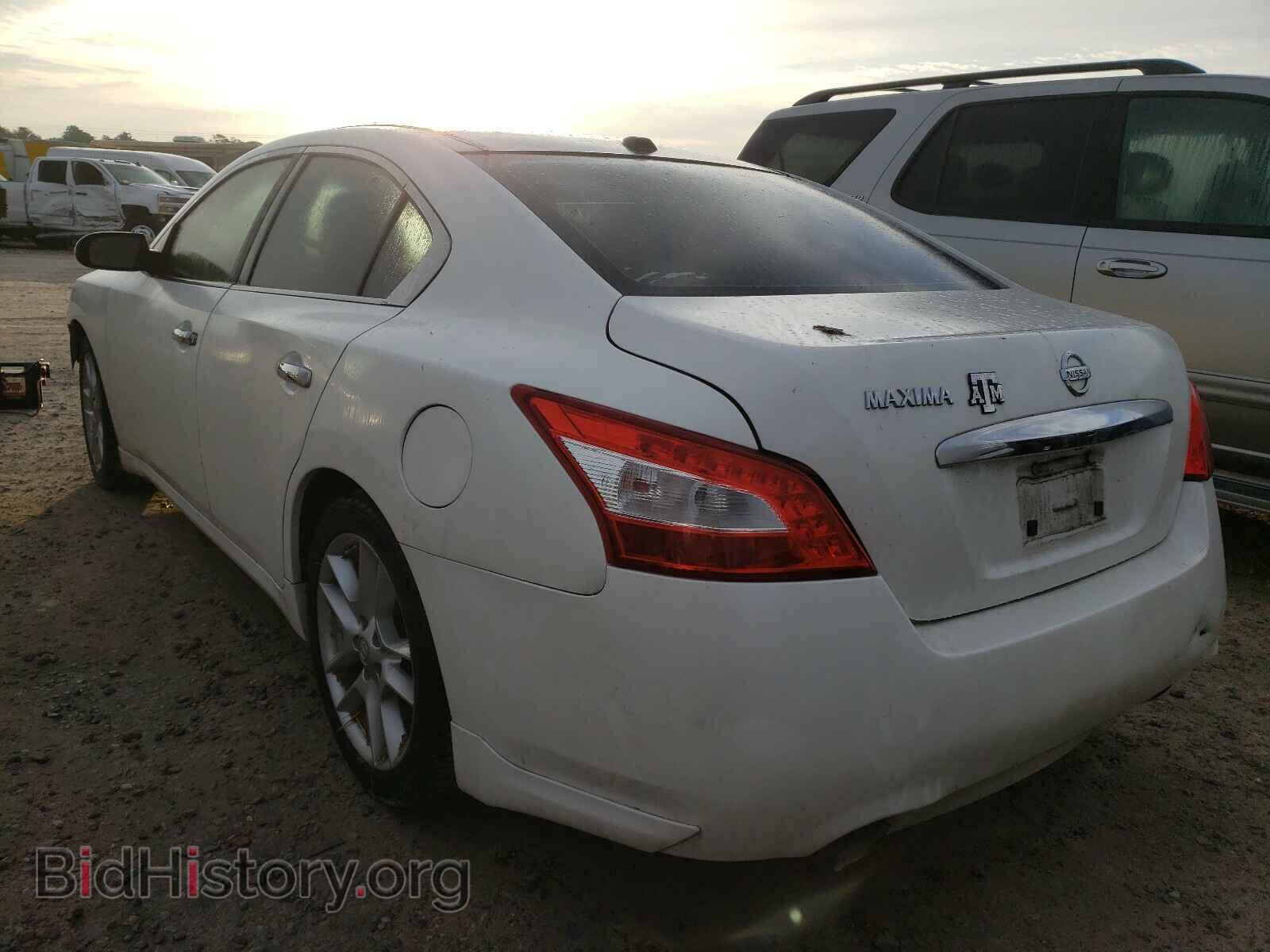2009 NISSAN MAXIMA - VIN: 1N4AA51EX9C858697 - Фото 3