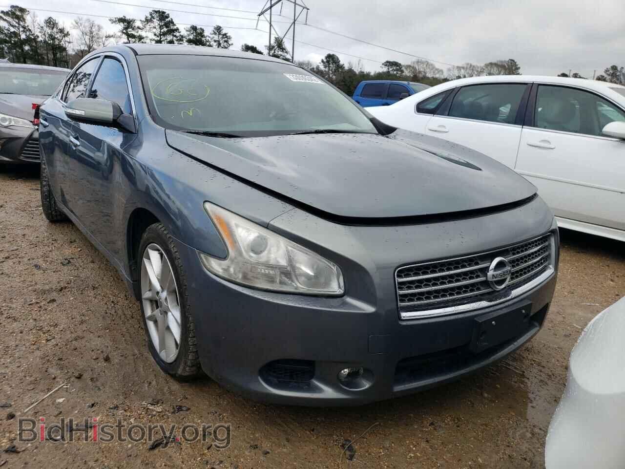Photo 1N4AA5AP5AC804262 - NISSAN MAXIMA 2010