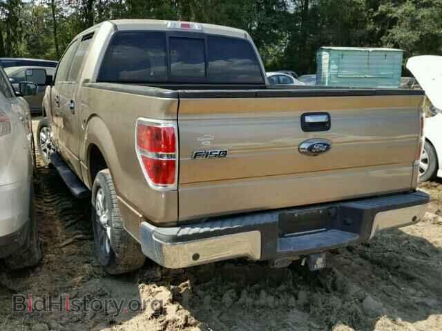 2013 FORD F150 - VIN: 1FTFW1CTXDFD63073 - Фото 3