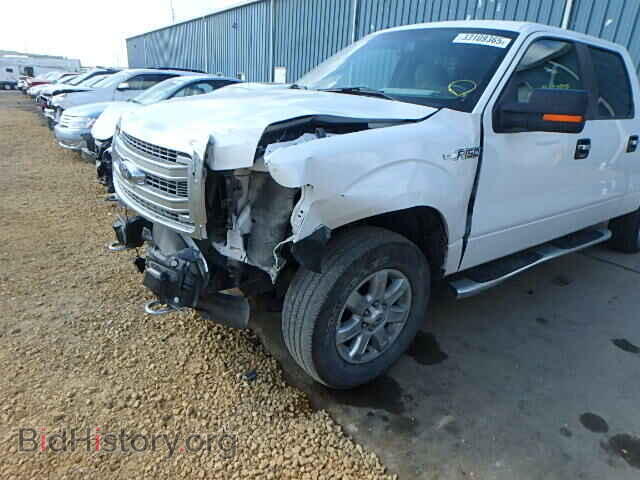 2013 FORD F150 - VIN: 1FTFW1EF1DKF60521 - Фото 9