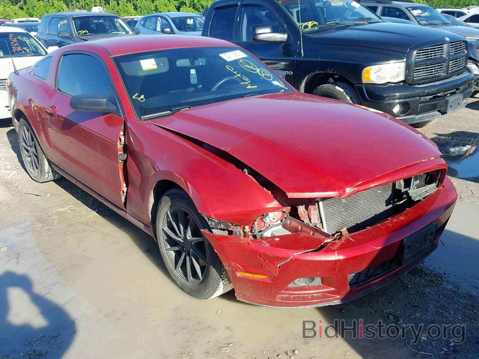 Photo 1ZVBP8AM0D5259226 - FORD MUSTANG 2013