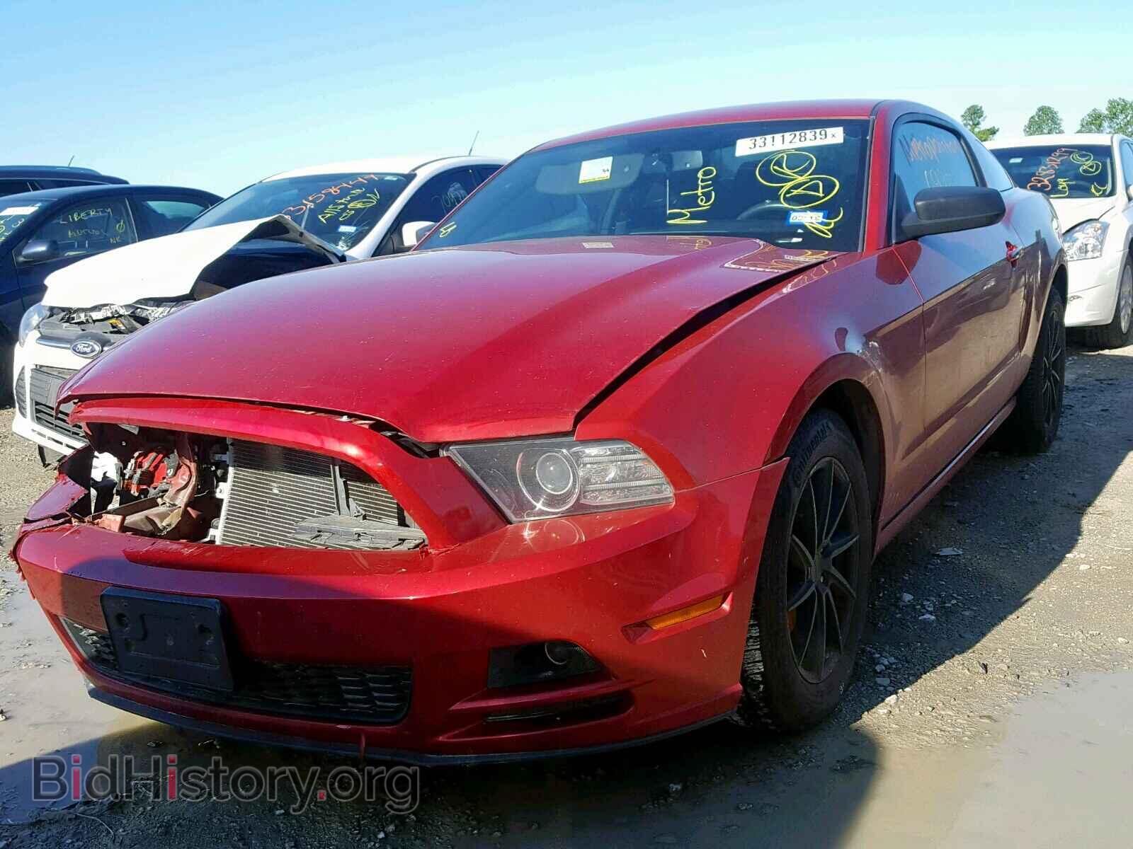 2013 FORD MUSTANG - VIN: 1ZVBP8AM0D5259226 - Фото 2