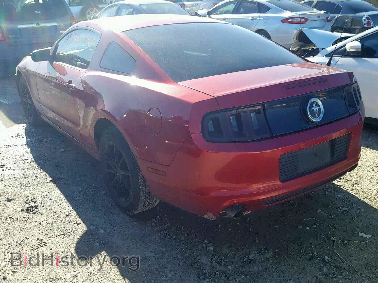 2013 FORD MUSTANG - VIN: 1ZVBP8AM0D5259226 - Фото 3
