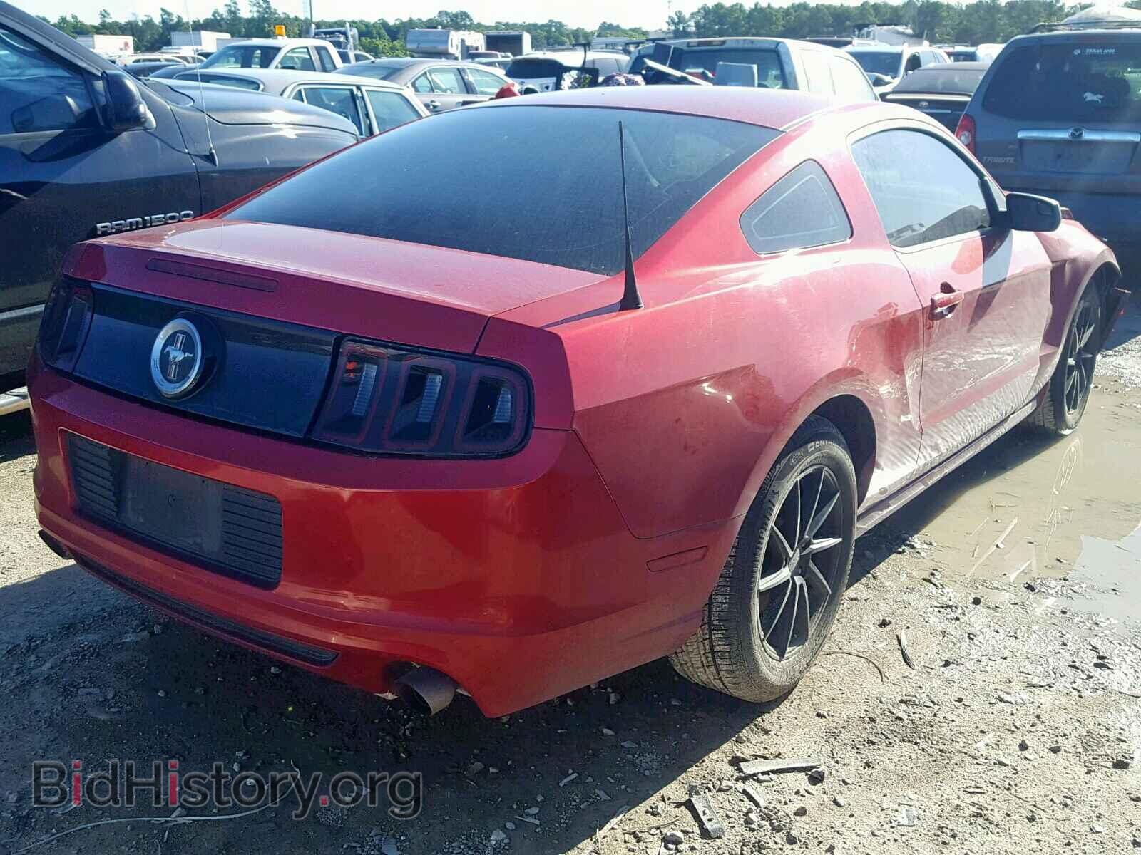 2013 FORD MUSTANG - VIN: 1ZVBP8AM0D5259226 - Фото 4
