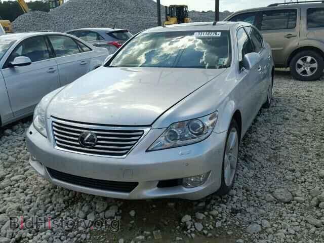 2011 LEXUS LS460 - VIN: JTHGL5EF4B5041994 - Фото 2